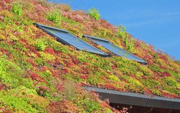 Sheffield Park living roof systems