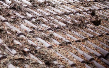 Sheffield Park roof cleaning companies